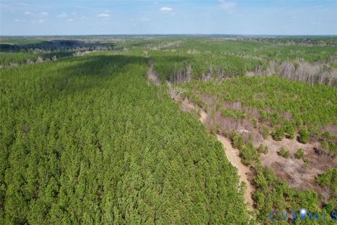 Tiny photo for 1201 Wills Lane, Blackstone, VA 22824 (MLS # 2607800)