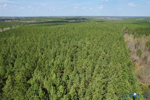 Tiny photo for 1201 Wills Lane, Blackstone, VA 22824 (MLS # 2607800)