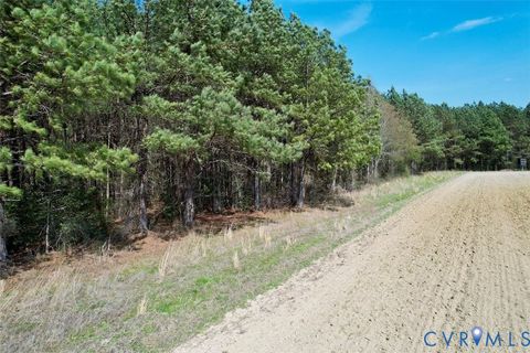 Tiny photo for 1201 Wills Lane, Blackstone, VA 22824 (MLS # 2607800)