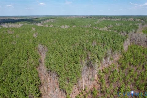 Tiny photo for 1201 Wills Lane, Blackstone, VA 22824 (MLS # 2607800)