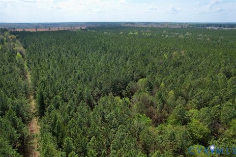 Tiny photo for 1201 Wills Lane, Blackstone, VA 22824 (MLS # 2607800)