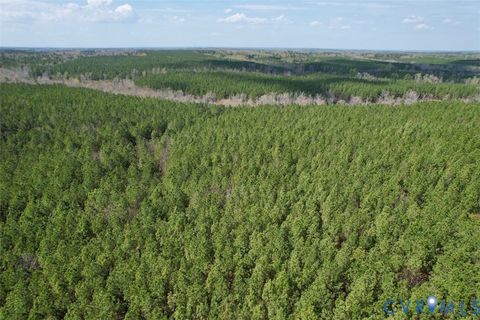 Tiny photo for 1201 Wills Lane, Blackstone, VA 22824 (MLS # 2607800)