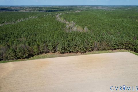 Tiny photo for 1201 Wills Lane, Blackstone, VA 22824 (MLS # 2607800)