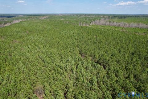 Tiny photo for 1201 Wills Lane, Blackstone, VA 22824 (MLS # 2607800)