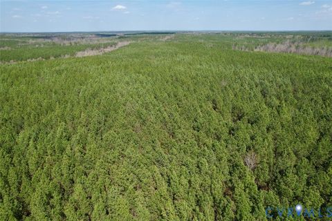 Tiny photo for 1201 Wills Lane, Blackstone, VA 22824 (MLS # 2607800)