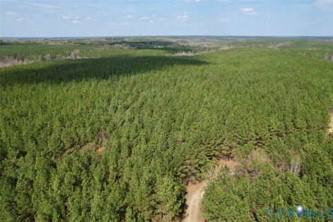 Tiny photo for 1201 Wills Lane, Blackstone, VA 22824 (MLS # 2607800)