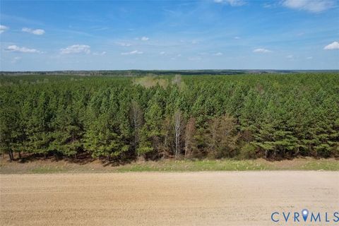 Tiny photo for 1201 Wills Lane, Blackstone, VA 22824 (MLS # 2607800)