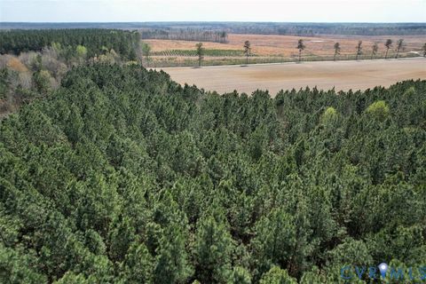 Tiny photo for 1201 Wills Lane, Blackstone, VA 22824 (MLS # 2607800)