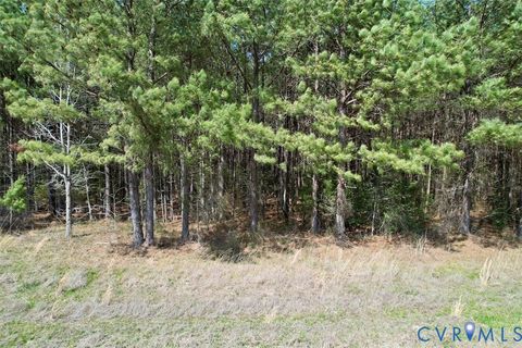 Tiny photo for 1201 Wills Lane, Blackstone, VA 22824 (MLS # 2607800)