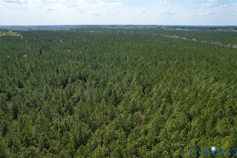 Tiny photo for 1201 Wills Lane, Blackstone, VA 22824 (MLS # 2607800)