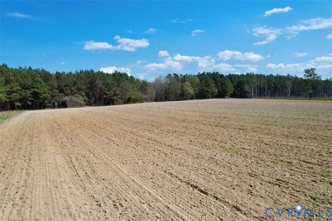 Tiny photo for 1201 Wills Lane, Blackstone, VA 22824 (MLS # 2607800)