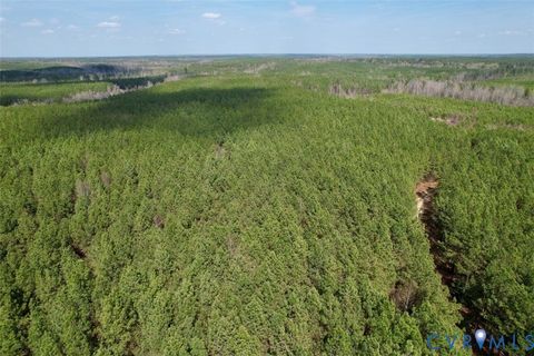 Tiny photo for 1201 Wills Lane, Blackstone, VA 22824 (MLS # 2607800)