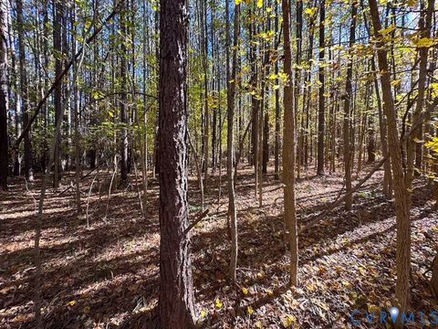 Tiny photo for 15 Acres Hills Drive, DeWitt, VA 23840 (MLS # 2530738)