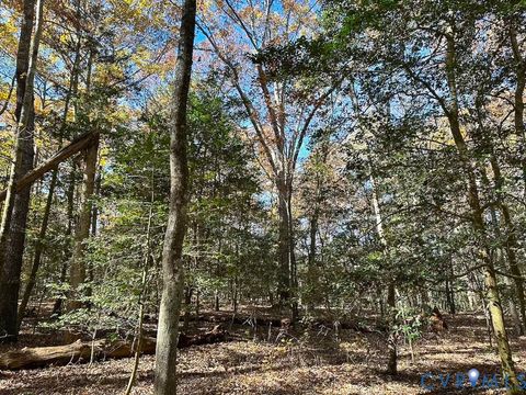 Tiny photo for 15 Acres Hills Drive, DeWitt, VA 23840 (MLS # 2530738)