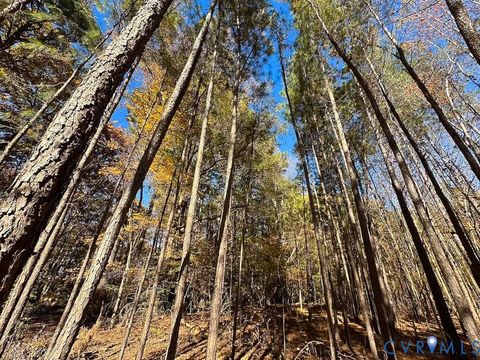 Tiny photo for 15 Acres Hills Drive, DeWitt, VA 23840 (MLS # 2530738)