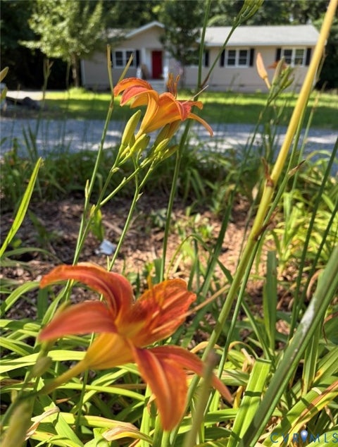 Tiny photo for 3011 Quaker Road, Quinton, VA 23141 (MLS # 2612404)