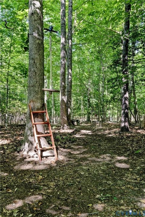 Tiny photo for 7321 Diascund Creek Place, New Kent, VA 23124 (MLS # 2614305)