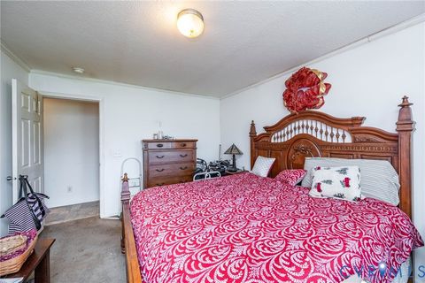 Tiny photo for 20806 Horseshoe Road, Carson, VA 23830 (MLS # 2608336)