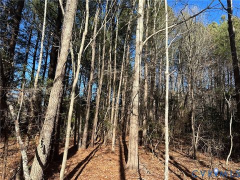 Tiny photo for 349 Taylors Beach Rd Rd, Fairfield, VA 22539 (MLS # 2602367)