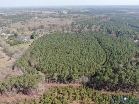 Tiny photo for 19ac Coppahaunk Avenue Avenue, Waverly, VA 23890 (MLS # 2608110)