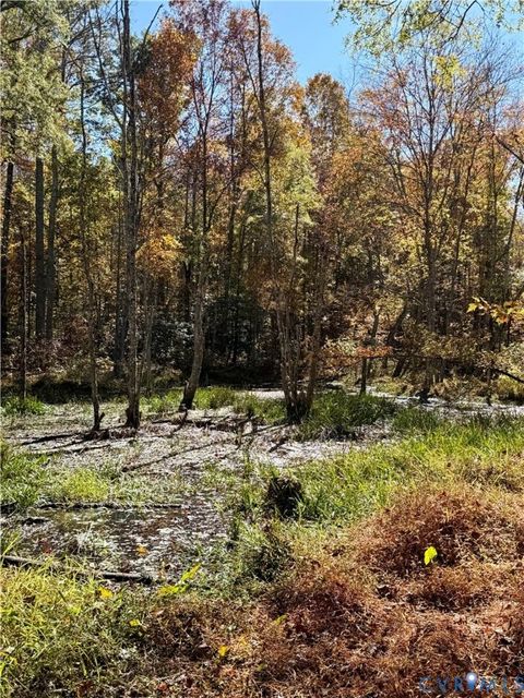 Tiny photo for 3202 Fredericks Hall Road, Mineral, VA 23117 (MLS # 2529399)