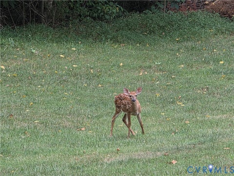 Tiny photo for 741 Furrs Mill Rd Rd, Lexington, VA 24450 (MLS # 2626166)