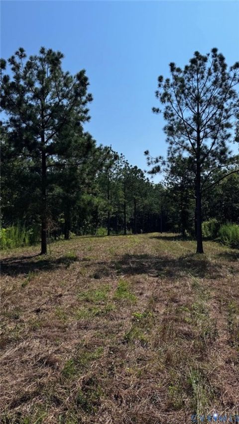 Tiny photo for 00 Old Shore Road, Blackstone, VA 23824 (MLS # 2527209)