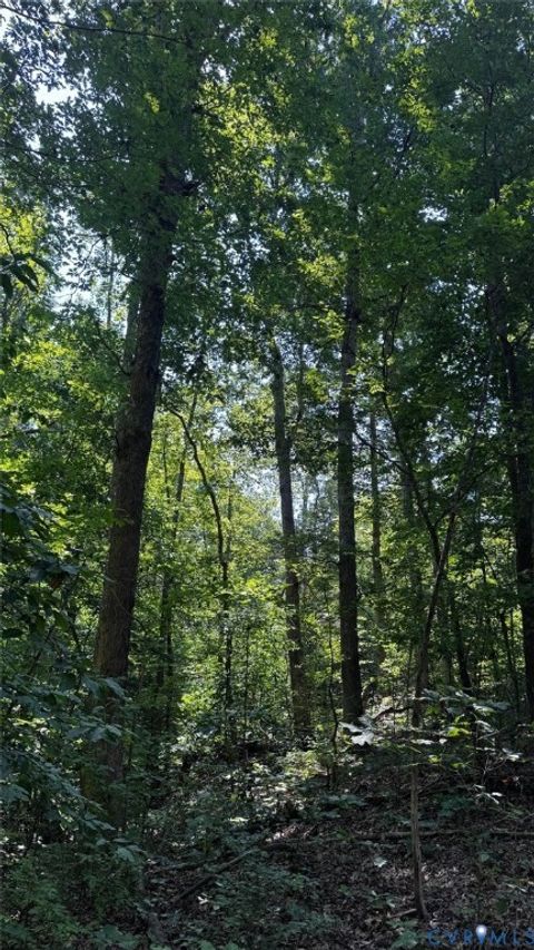 Tiny photo for 00 Old Shore Road, Blackstone, VA 23824 (MLS # 2527209)