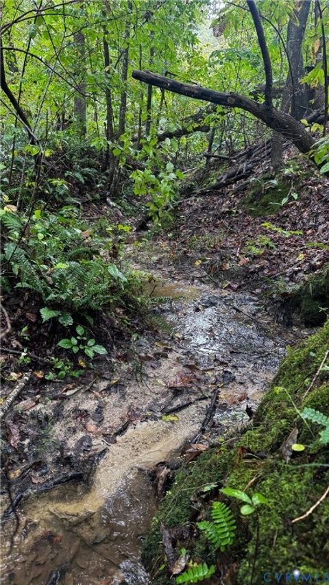 Tiny photo for 00 Old Shore Road, Blackstone, VA 23824 (MLS # 2527209)