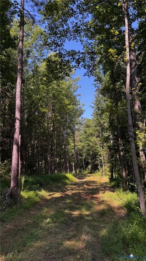 Tiny photo for 00 Old Shore Road, Blackstone, VA 23824 (MLS # 2527209)