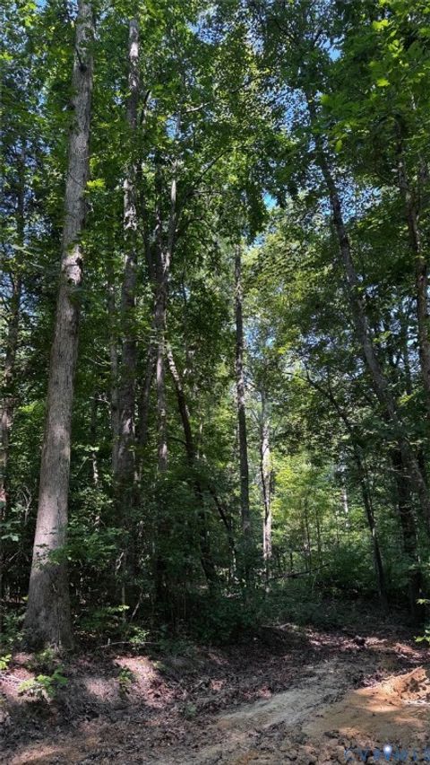 Tiny photo for 00 Old Shore Road, Blackstone, VA 23824 (MLS # 2527209)