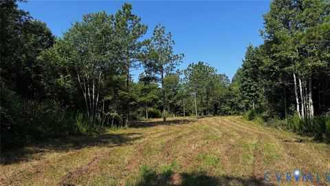Photo of 00 Old Shore Road, Blackstone, VA 23824 (MLS # 2527209)