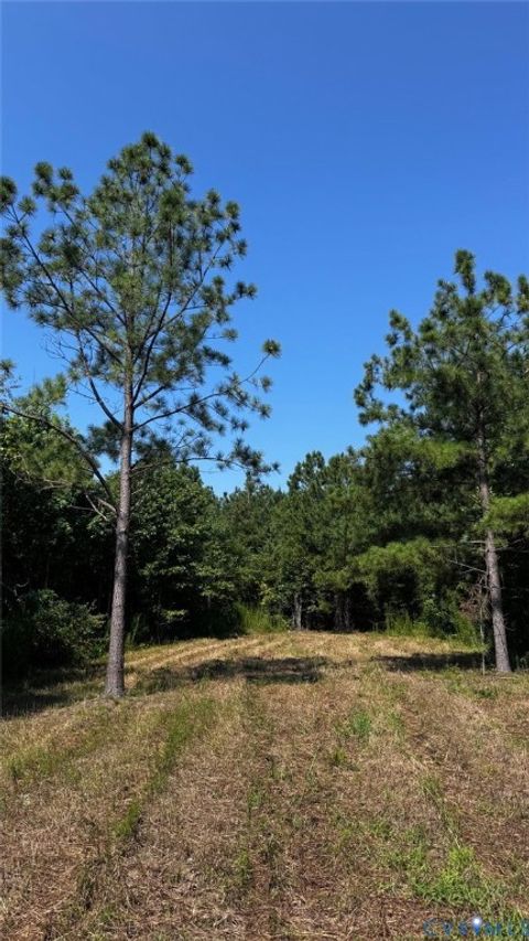 Tiny photo for 00 Old Shore Road, Blackstone, VA 23824 (MLS # 2527209)