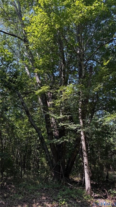 Tiny photo for 00 Old Shore Road, Blackstone, VA 23824 (MLS # 2527209)