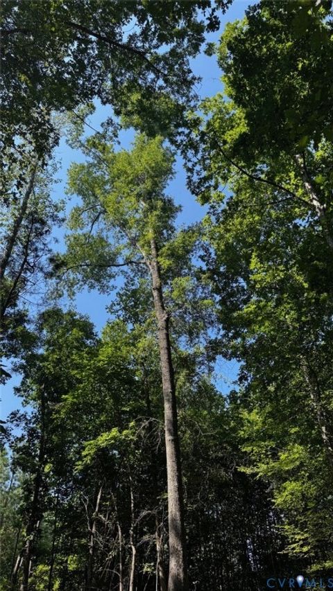 Tiny photo for 00 Old Shore Road, Blackstone, VA 23824 (MLS # 2527209)