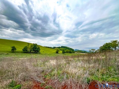 Tiny photo for 103.48 Acres Twilight Road, Sugar Grove, VA 24375 (MLS # 2613535)