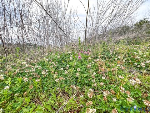 Tiny photo for 103.48 Acres Twilight Road, Sugar Grove, VA 24375 (MLS # 2613535)