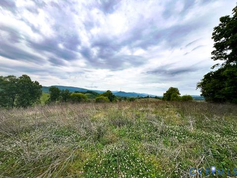 Tiny photo for 103.48 Acres Twilight Road, Sugar Grove, VA 24375 (MLS # 2613535)