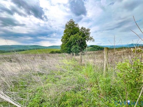 Tiny photo for 103.48 Acres Twilight Road, Sugar Grove, VA 24375 (MLS # 2613535)