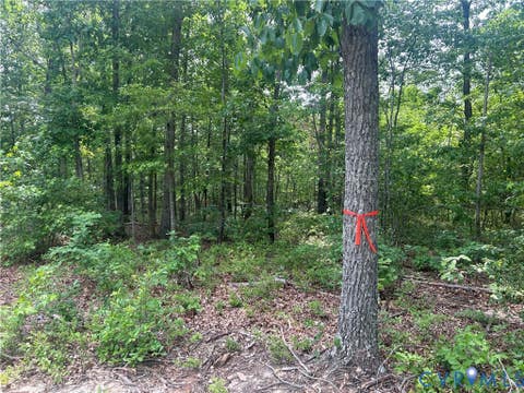 Tiny photo for TBD Jones Farm Road, Montpelier, VA 23192 (MLS # 2615844)