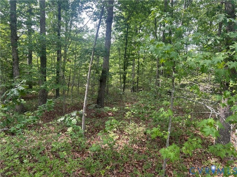 Photo of TBD Jones Farm Road, Montpelier, VA 23192 (MLS # 2615844)