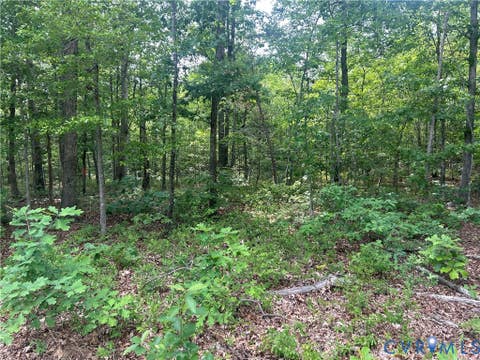 Tiny photo for TBD Jones Farm Road, Montpelier, VA 23192 (MLS # 2615844)