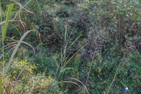 Tiny photo for 0 Oakdale Road, Waverly, VA 23890 (MLS # 2528192)