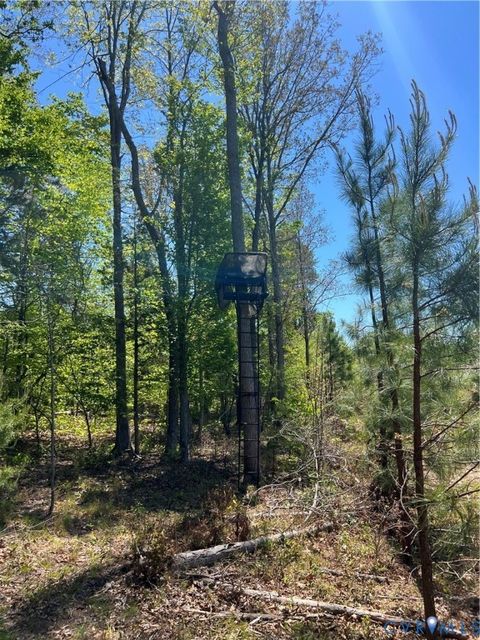 Tiny photo for 0 Courthouse Road, Louisa, VA 23093 (MLS # 2611537)