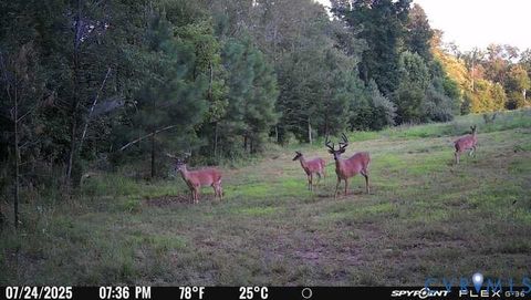 Tiny photo for 0 Courthouse Road, Louisa, VA 23093 (MLS # 2611537)