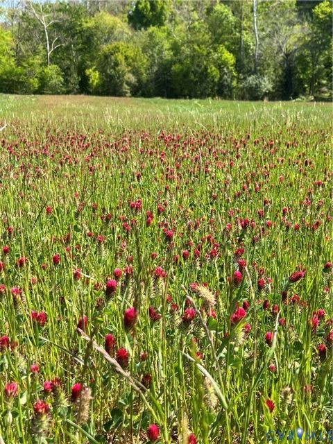 Tiny photo for 0 Courthouse Road, Louisa, VA 23093 (MLS # 2611537)