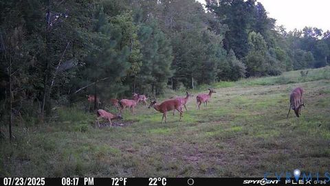 Tiny photo for 0 Courthouse Road, Louisa, VA 23093 (MLS # 2611537)