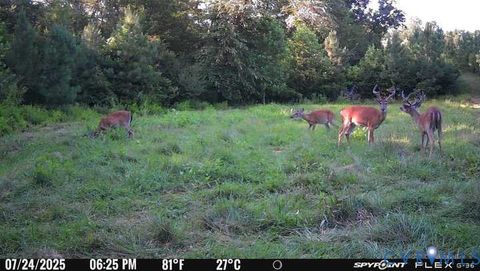 Tiny photo for 0 Courthouse Road, Louisa, VA 23093 (MLS # 2611537)