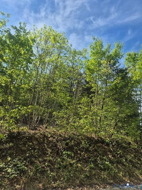 Tiny photo for Lot 16 Mountain Creek Rd, Green Bay, VA 23942 (MLS # 2532762)
