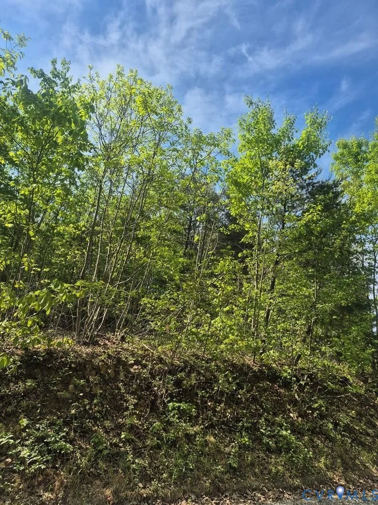Lot 16 Mountain Creek Rd, Green Bay, VA, 23942